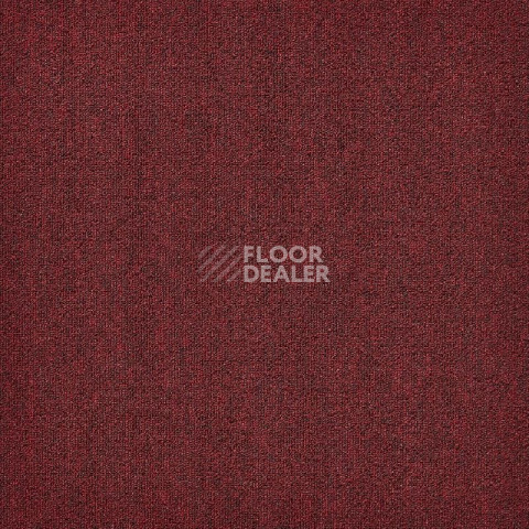 Ковровая плитка Modulyss 24 First Forward First Forward 329 фото 1 | FLOORDEALER
